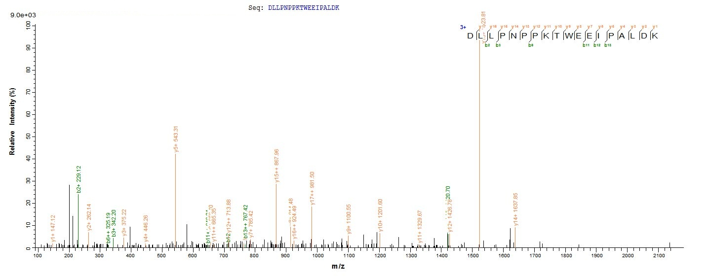 E. coli malE protein