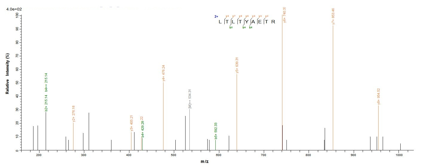 E. coli uvrD protein