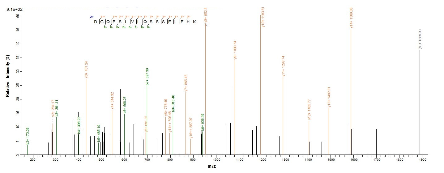 Virus tax protein