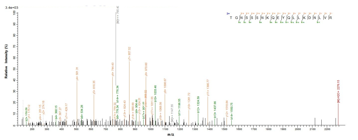 Virus FLP1 protein