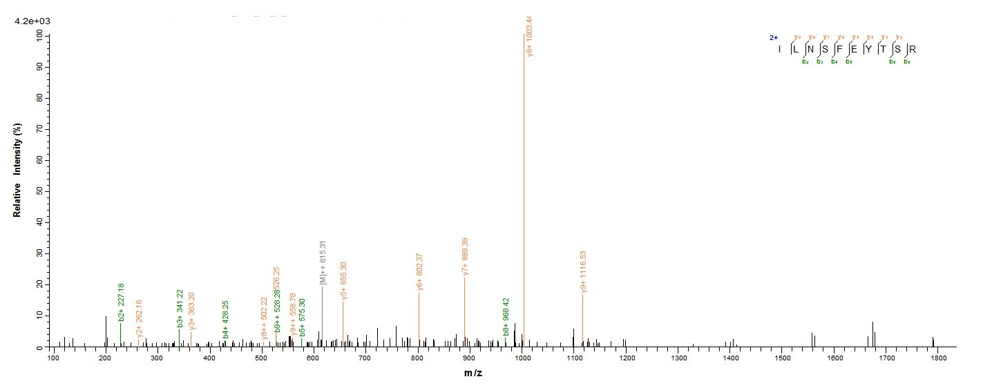 Virus FLP1 protein