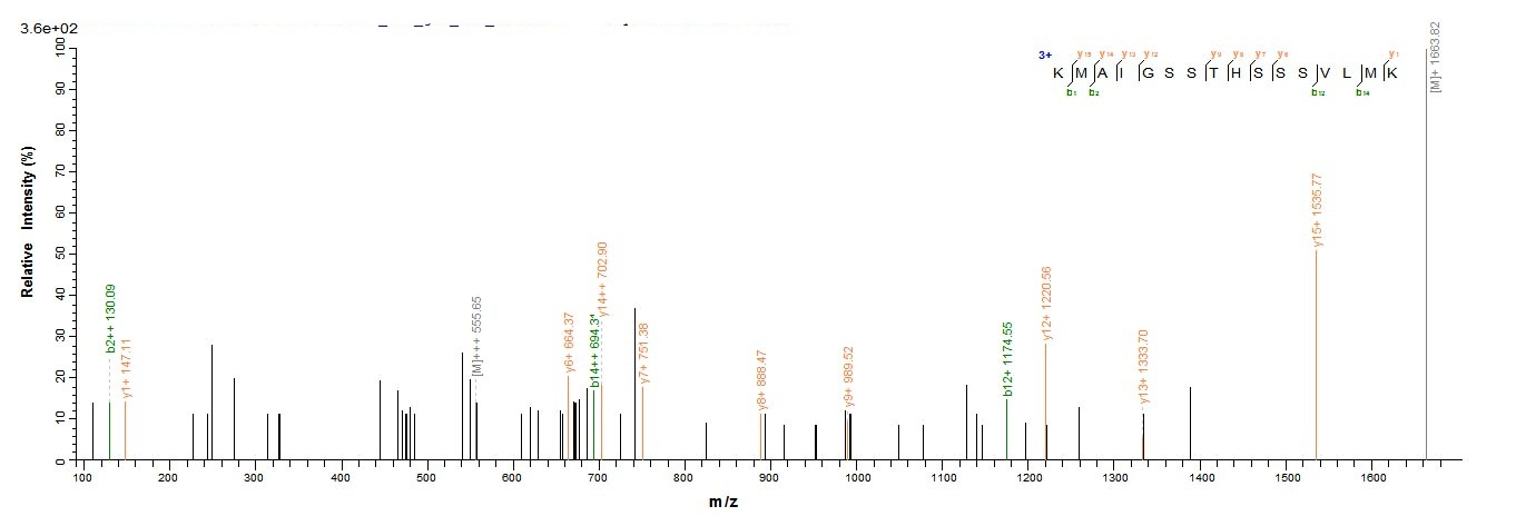 Virus Nuclear export protein(NS) protein