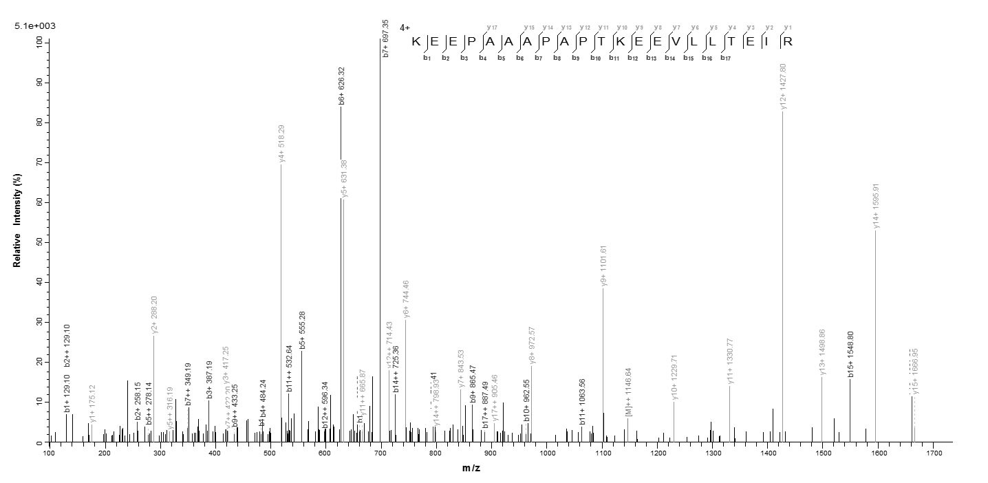 E. coli mscL protein