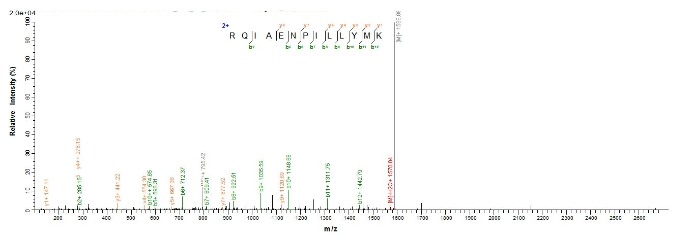 Bacteria grxD protein