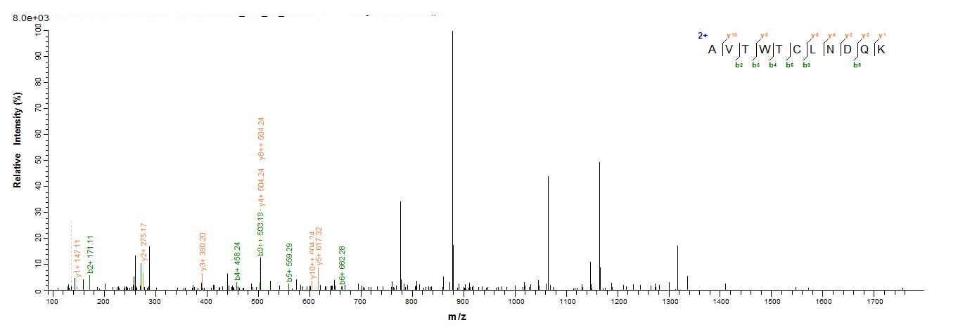 Fungi sar protein