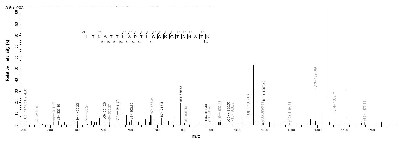 Virus BDLF3 protein