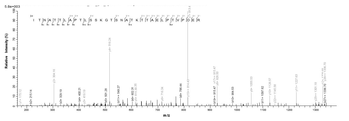 Virus BDLF3 protein