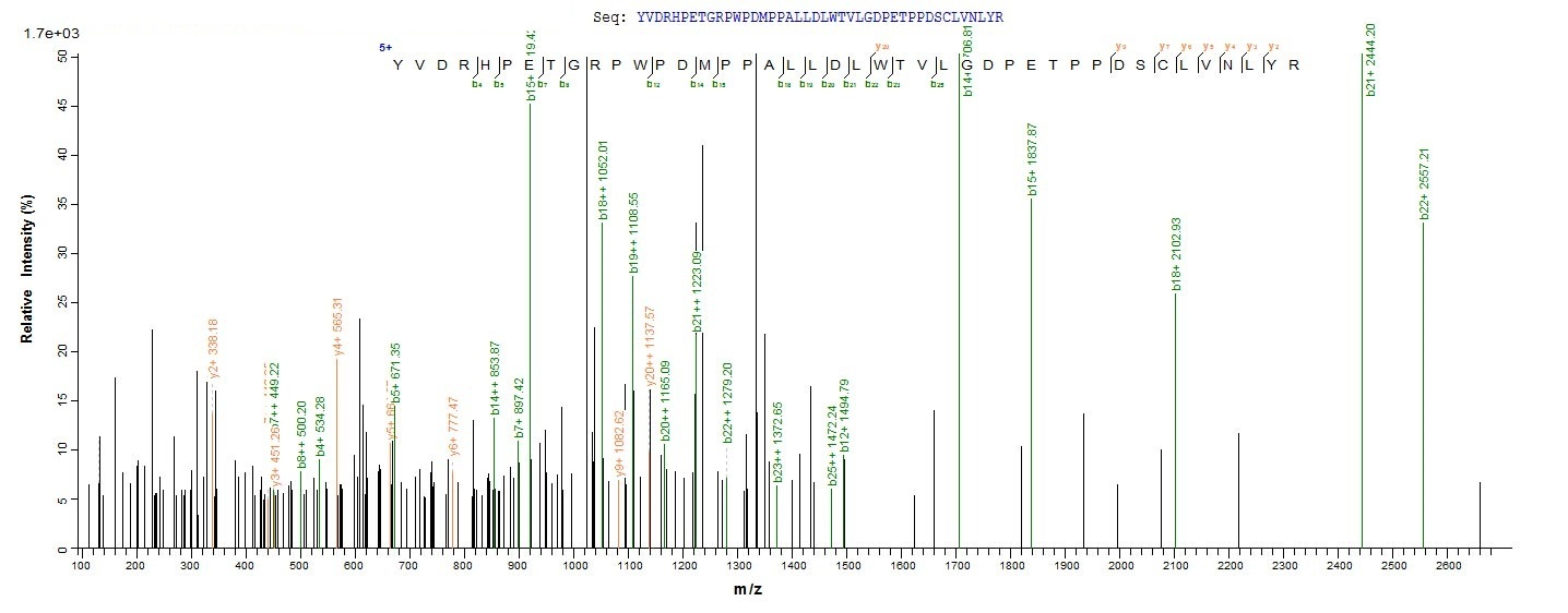 Bacteria alkB protein