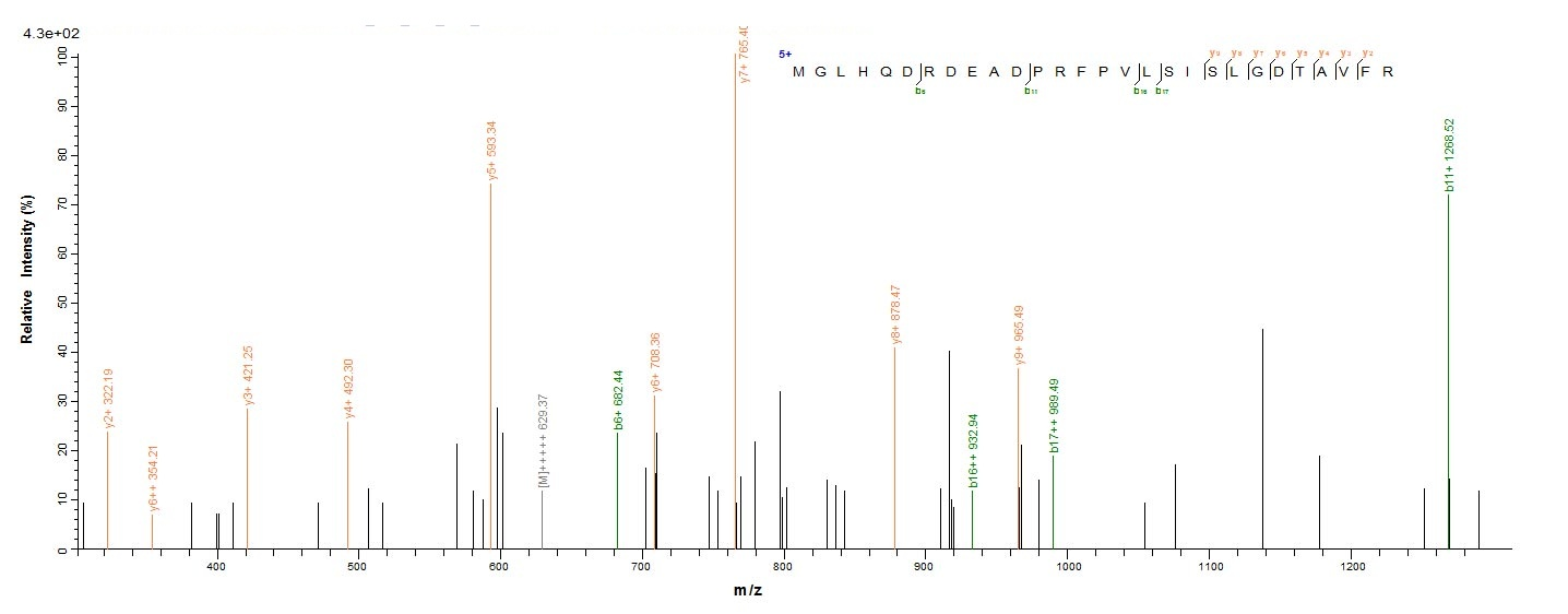 Bacteria alkB protein