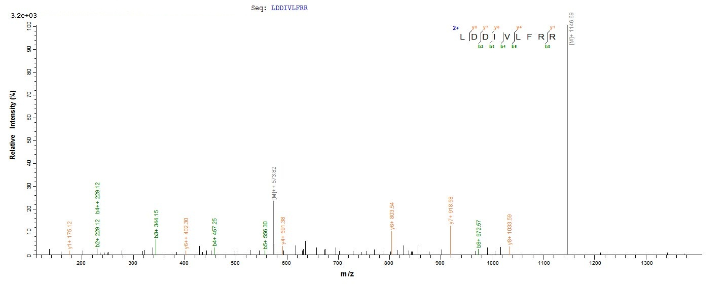 Bacteria HSP100 protein