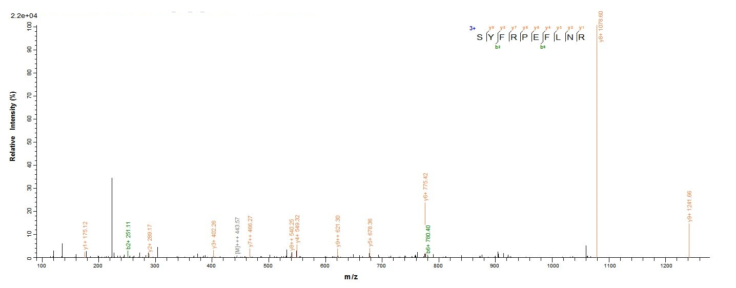 Bacteria HSP100 protein