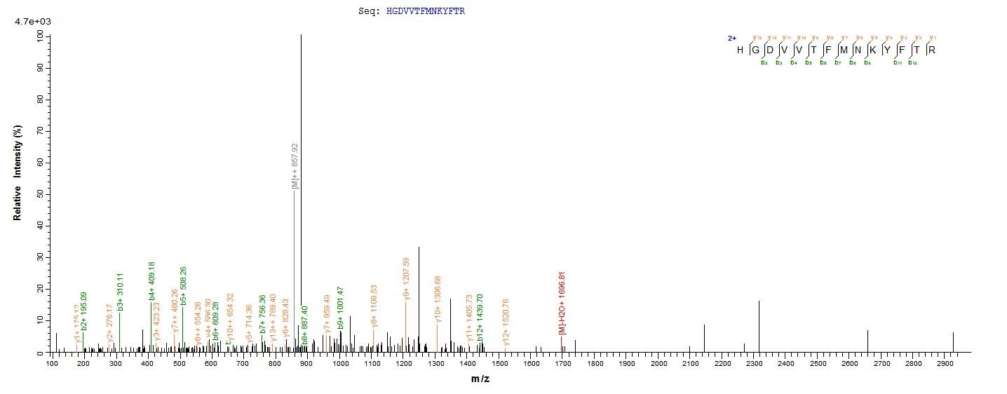 Animal Trichosanthes kirilowii Ribosome-inactivating protein alpha-trichosanthin protein