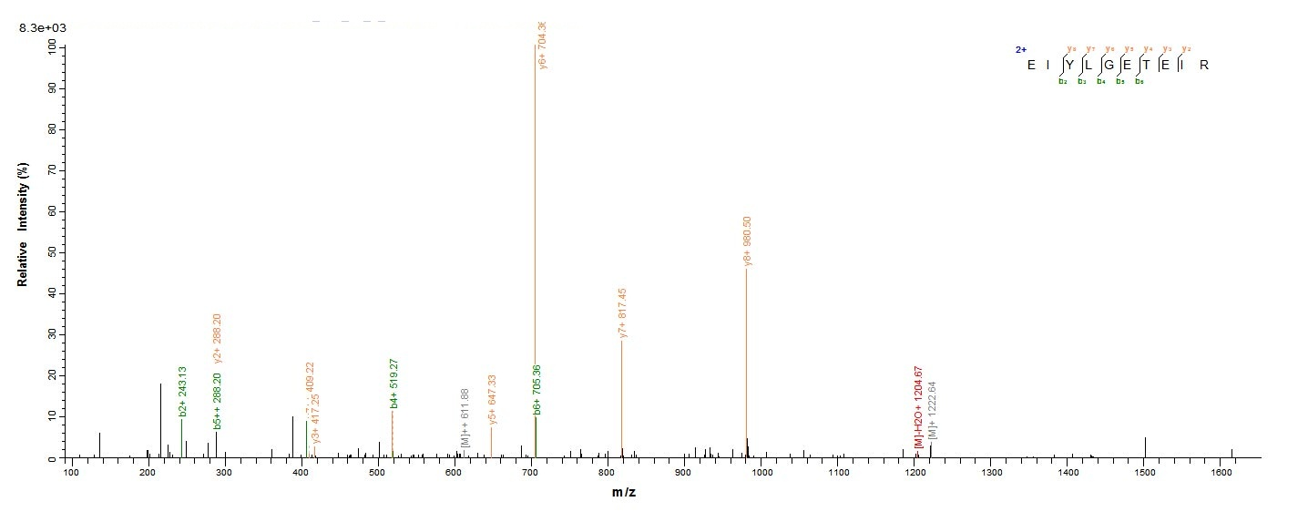 Animal Trichosanthes kirilowii Ribosome-inactivating protein alpha-trichosanthin protein