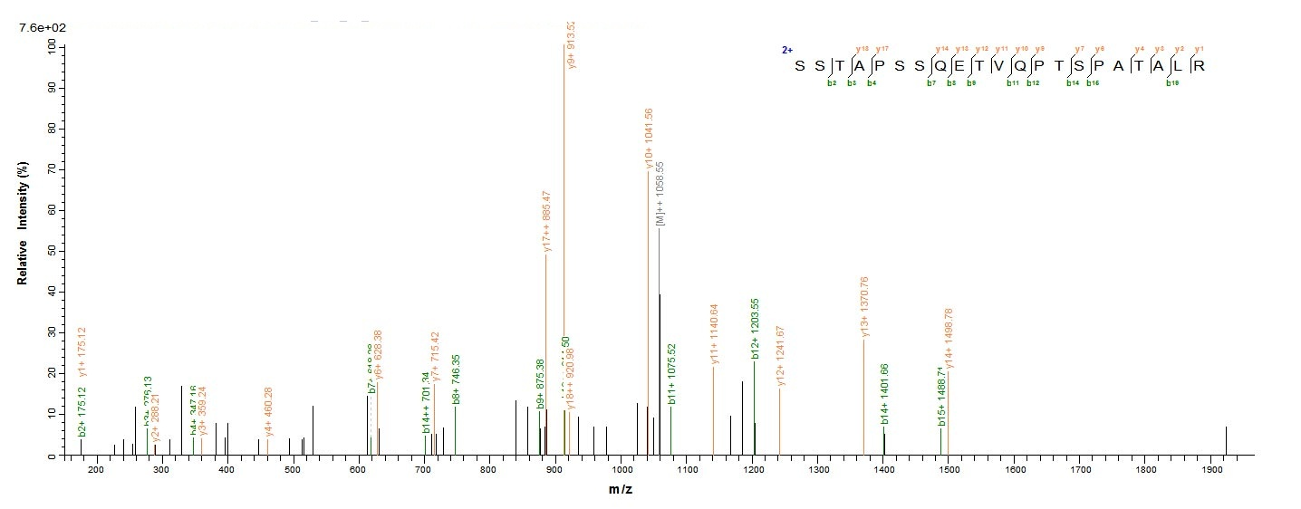 Human PODXL protein