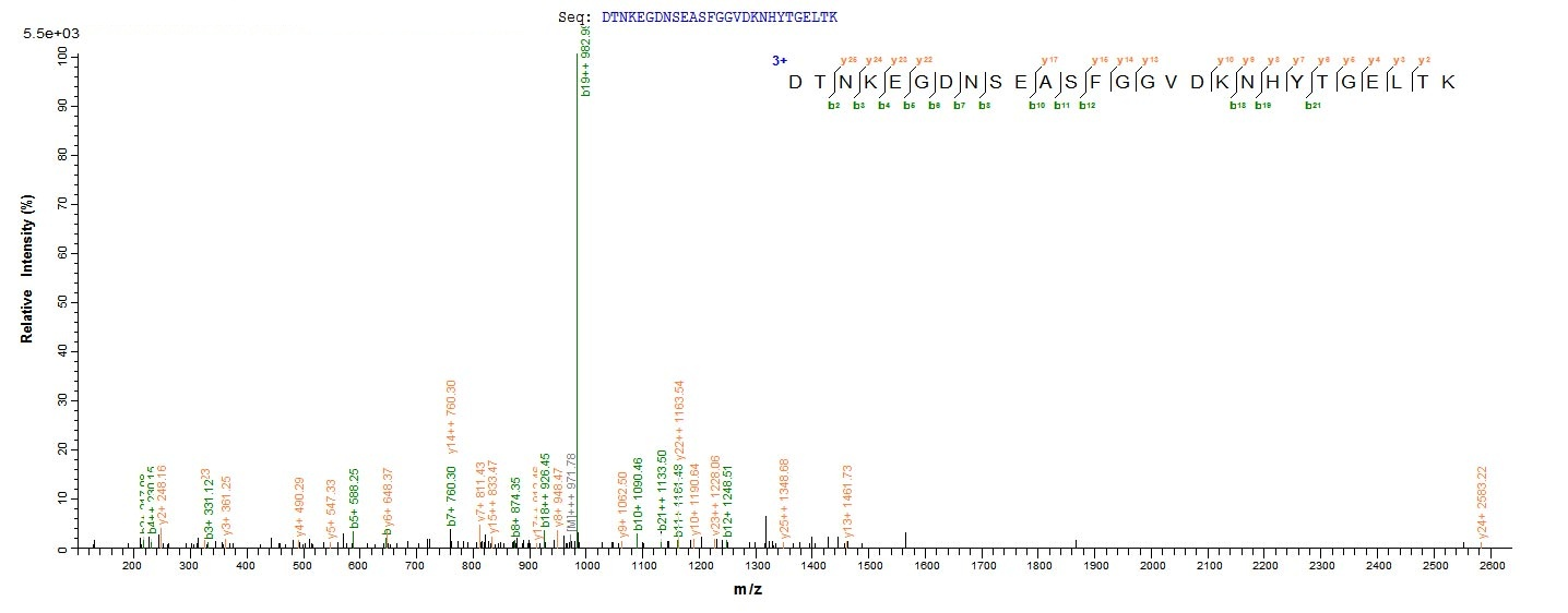 Fungi pep2 protein