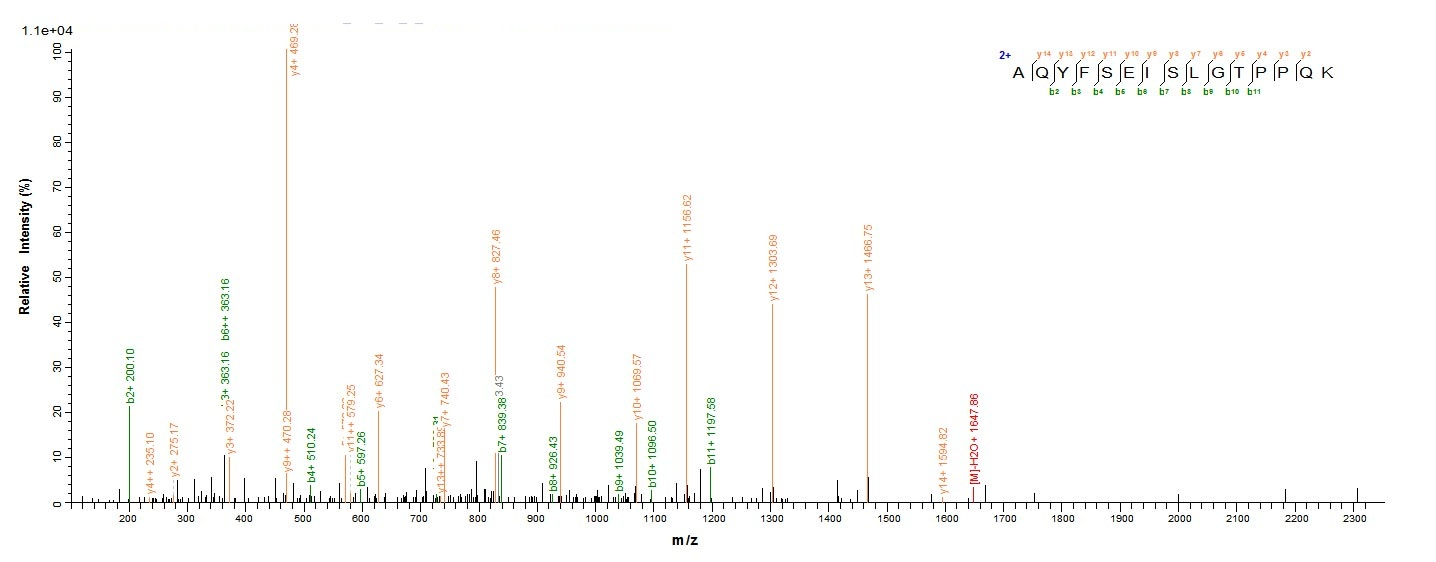 Fungi pep2 protein