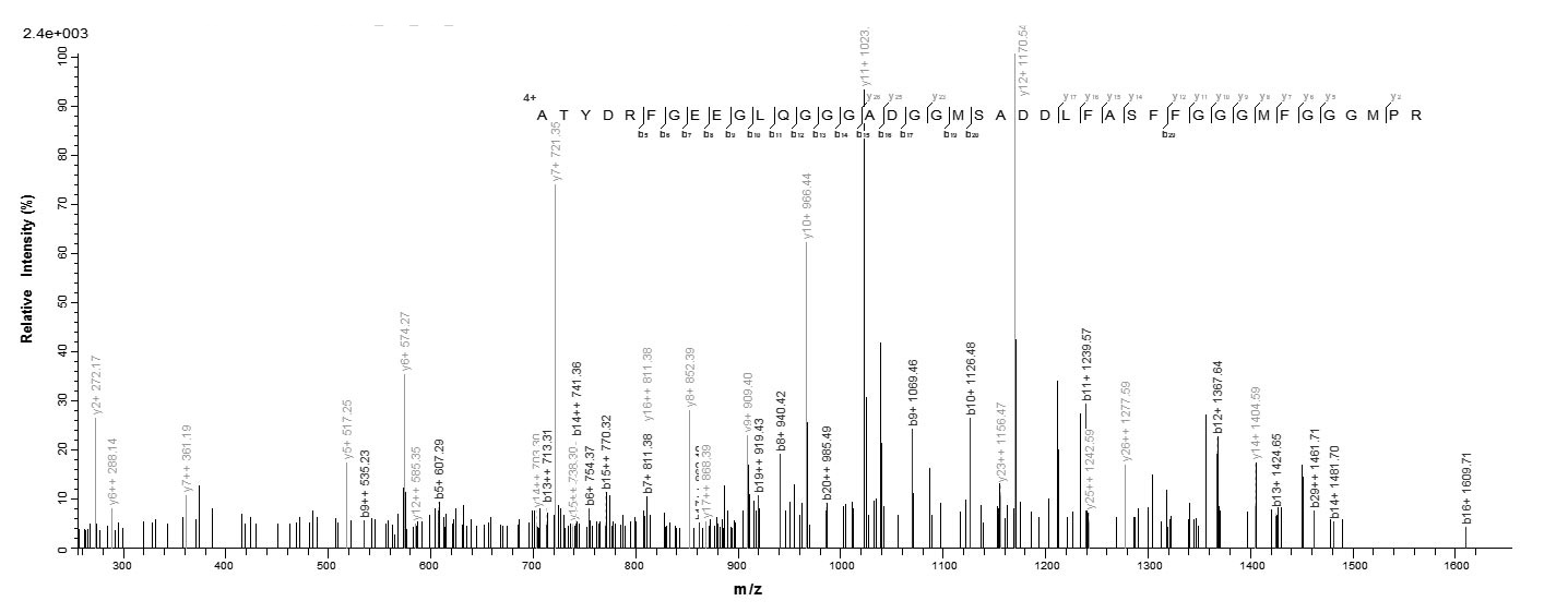 Fungi mas5 protein