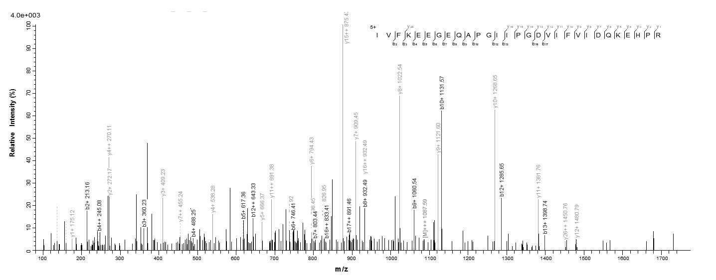 Fungi mas5 protein