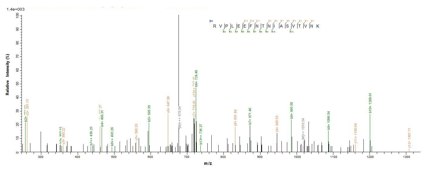 Bacteria botB protein