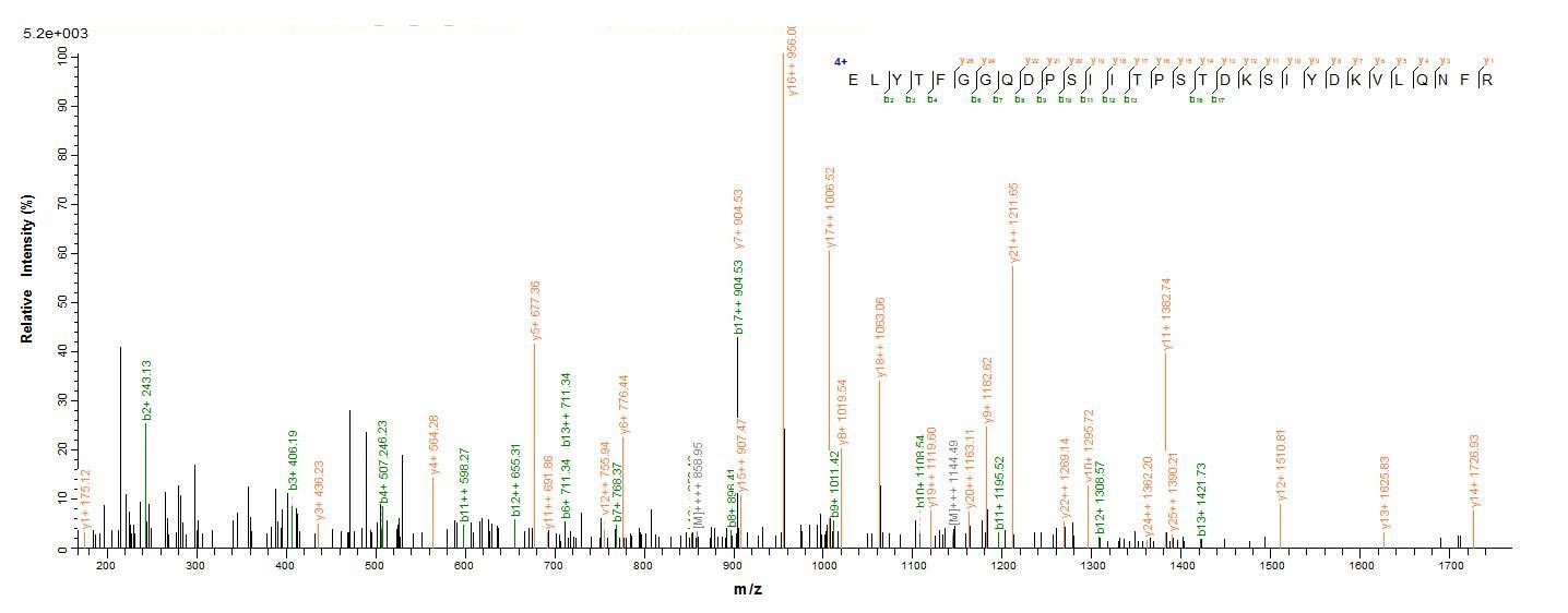 Bacteria botB protein