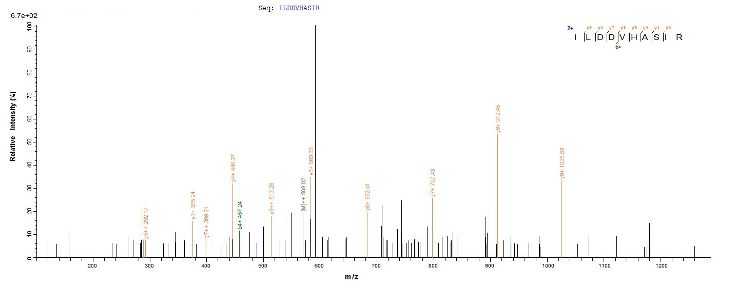 Bacteria btuD protein