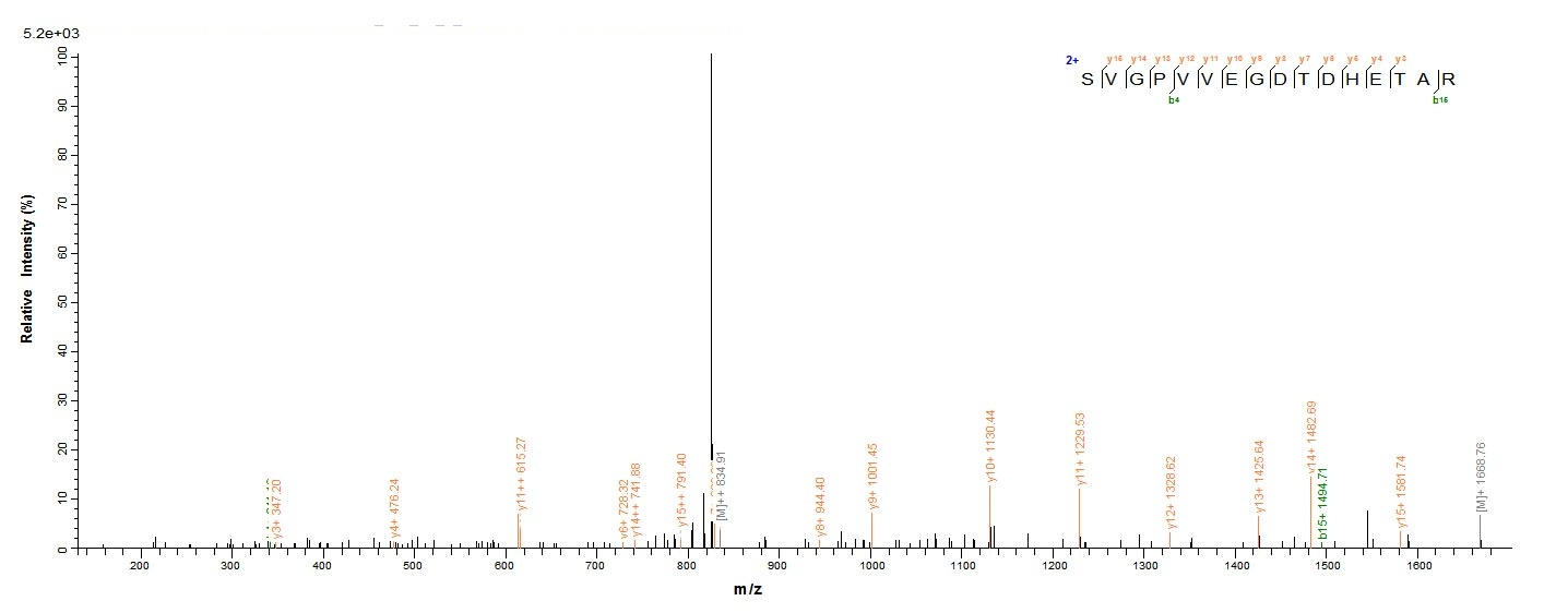 Bacteria btuD protein