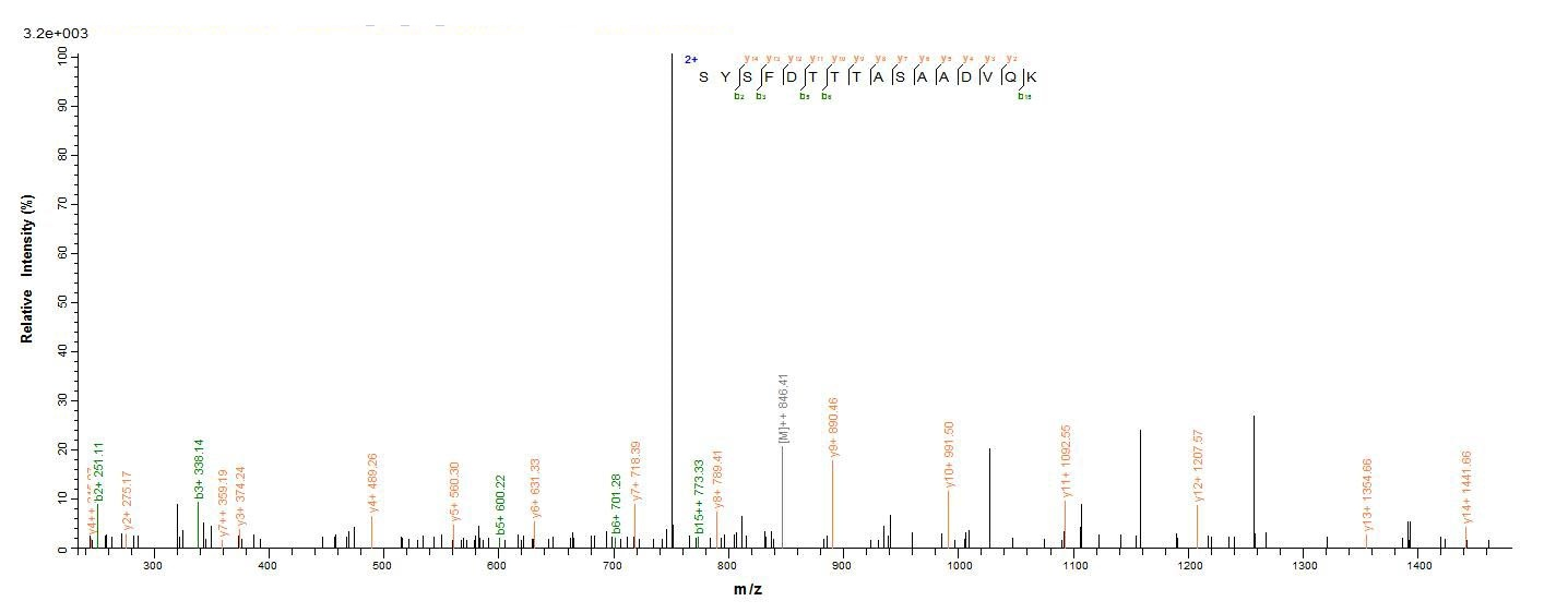 Bacteria fliC protein