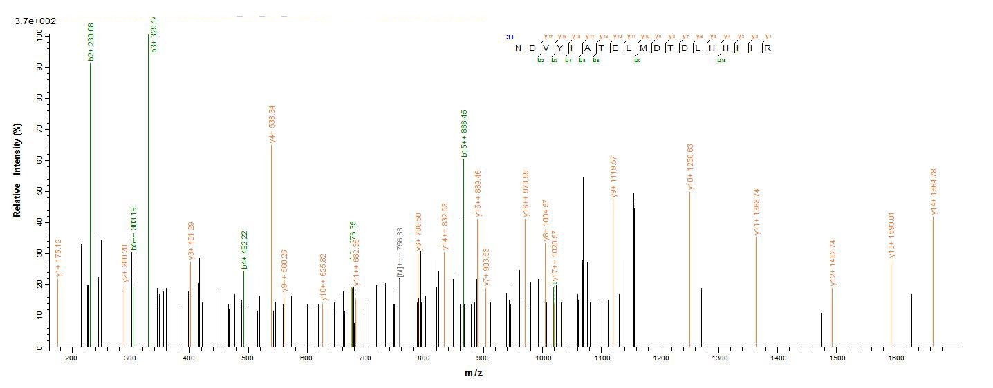 Plant MPK5 protein