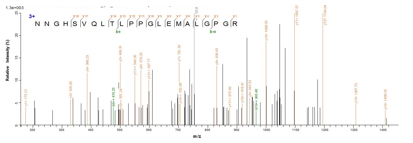 Human CA9 protein