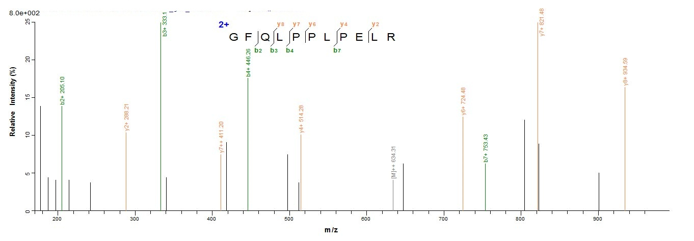Human CA9 protein