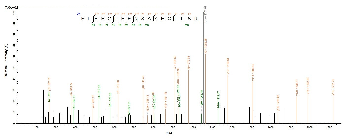 Human CA9 protein