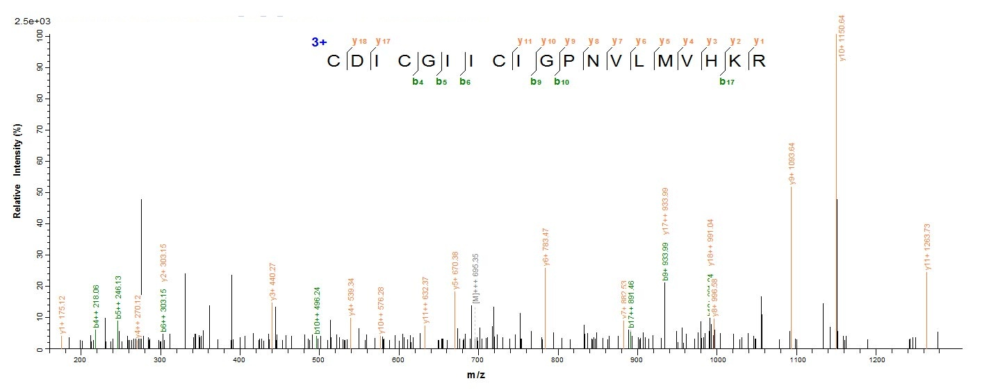 Human IKZF1 protein