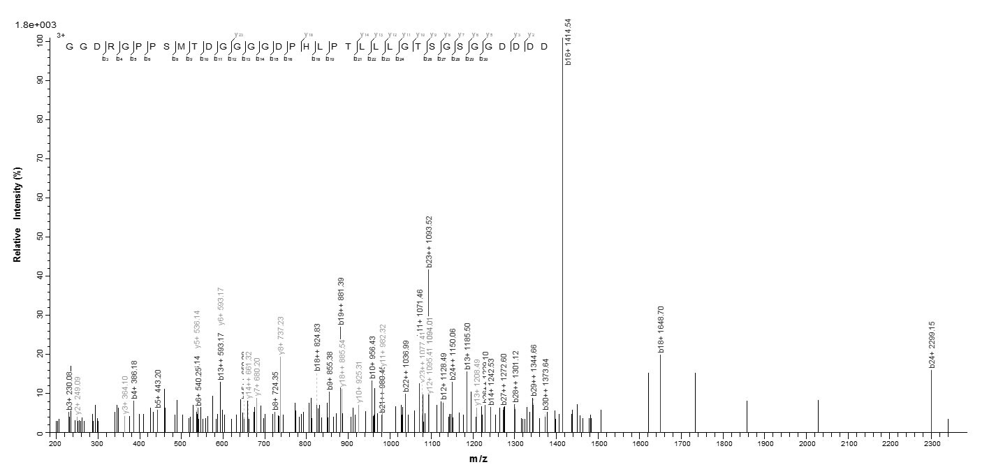 Virus LMP1 protein