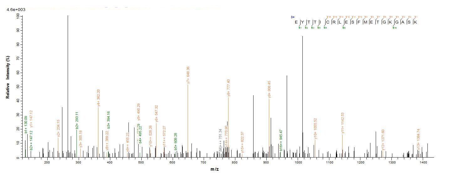 Bovine PRKRA protein