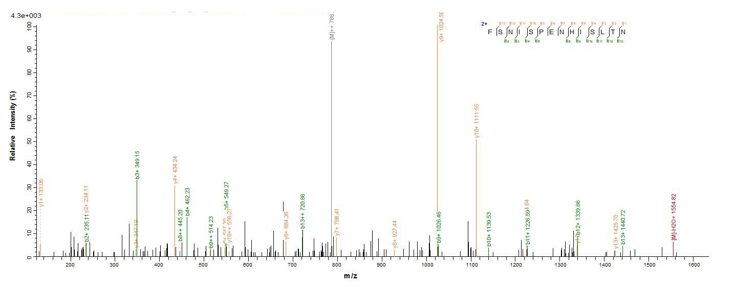 Bovine PRKRA protein