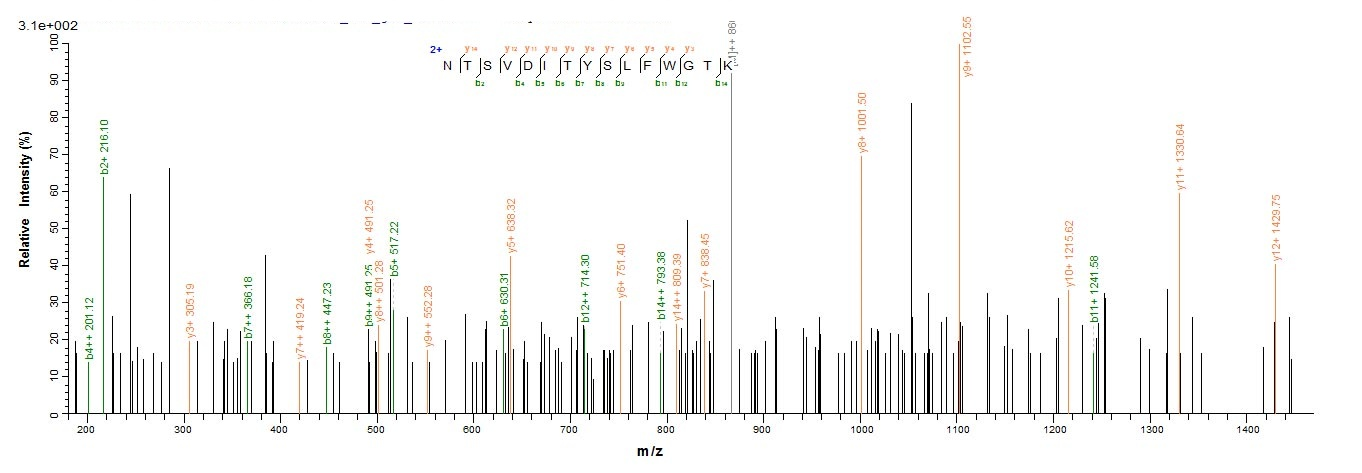 Mouse Milr1 protein