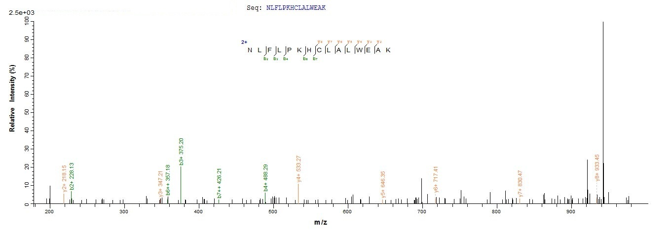 Mouse Tet2 protein