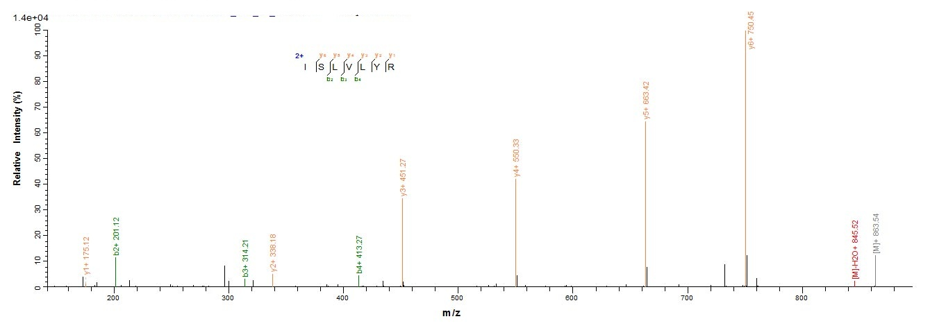 Mouse Tet2 protein