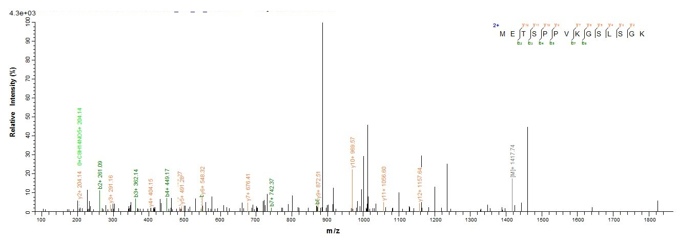 Mouse Versican protein