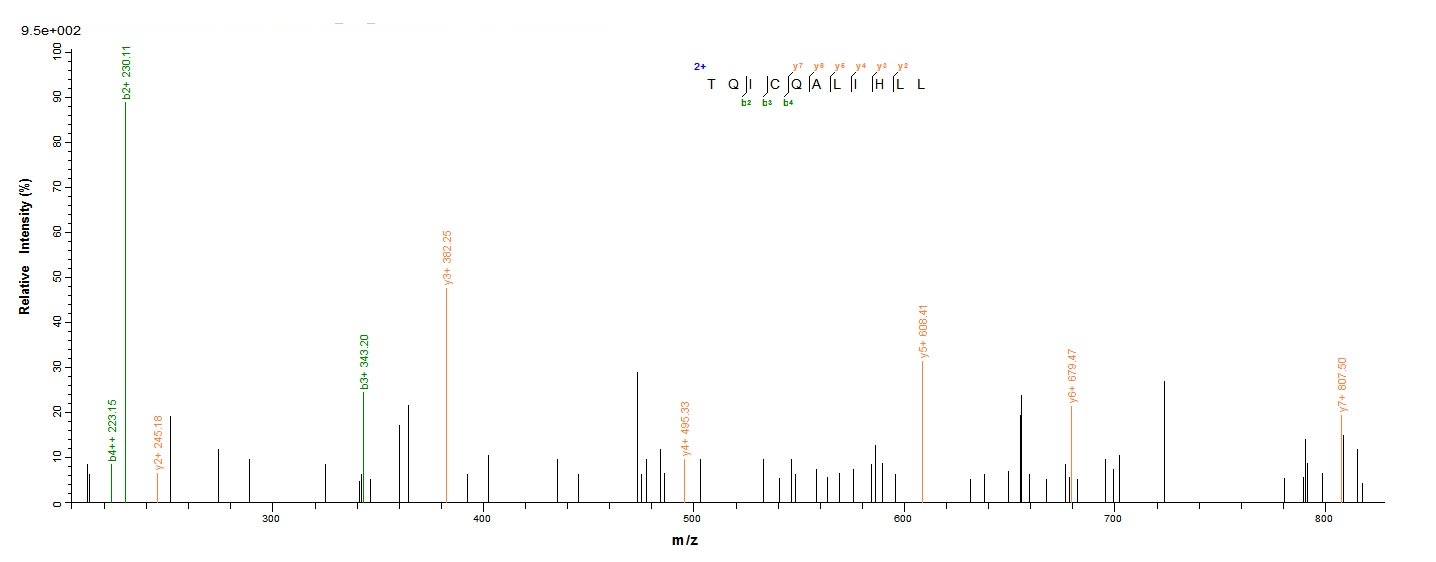 Human HEATR6 protein
