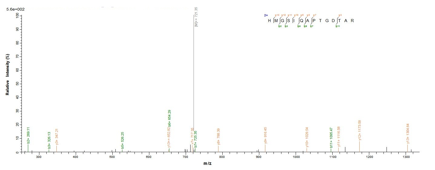 Human HEATR6 protein