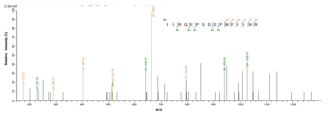 Mouse Dsg1a protein