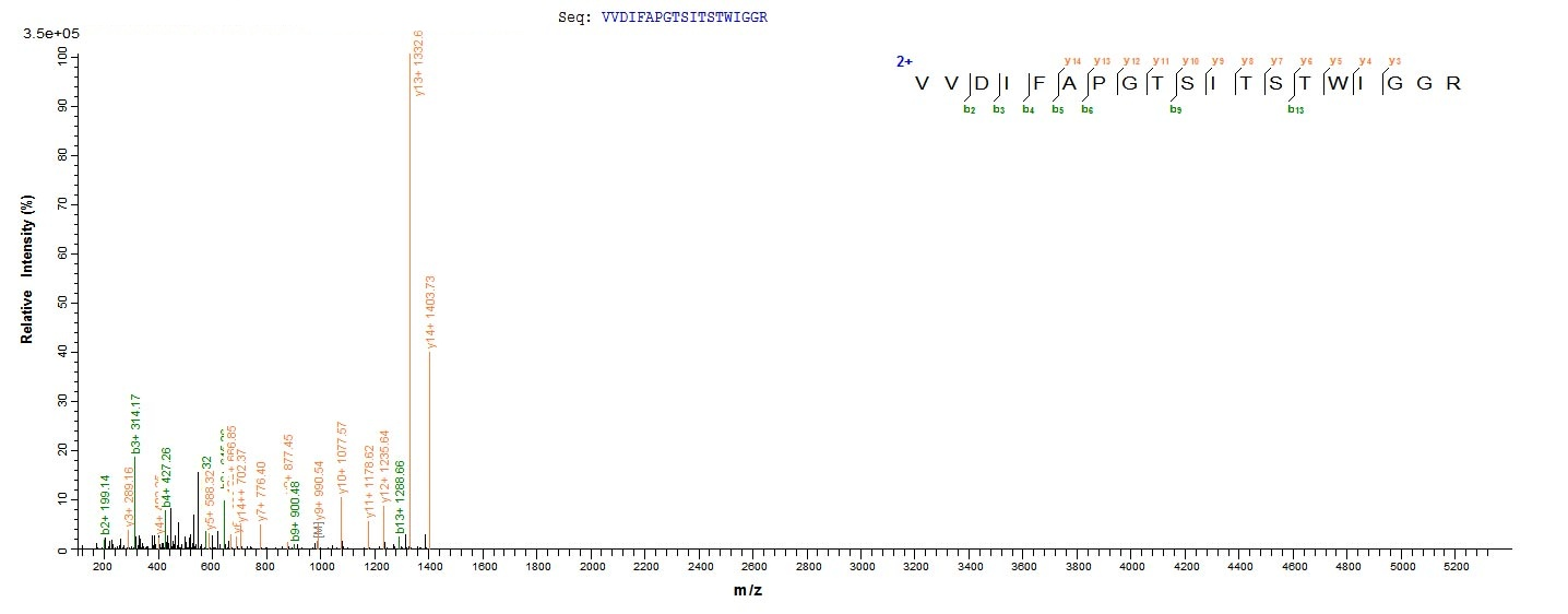 Fungi Pregnancy-associated glycoprotein 1 protein