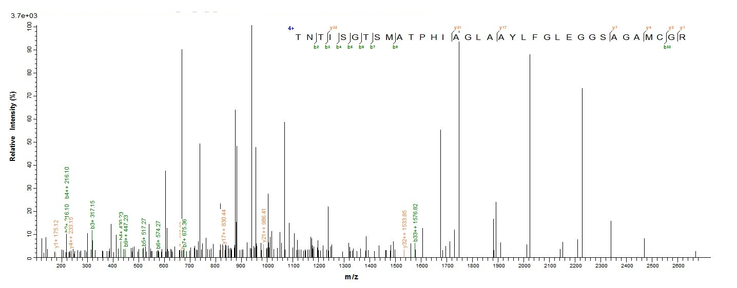 Fungi Pregnancy-associated glycoprotein 1 protein
