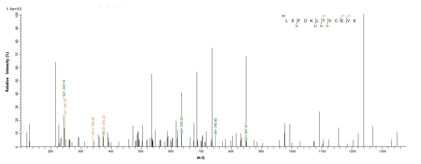 Virus M protein