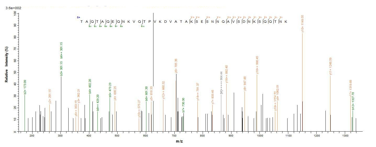 Bacteria isdA protein