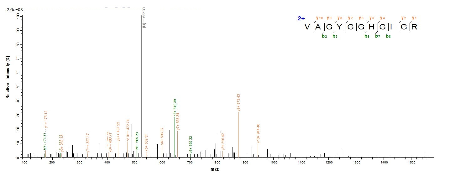 Virus map-1 protein