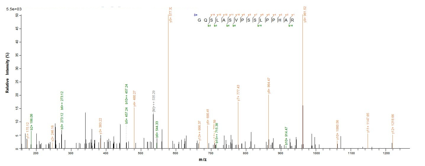Human NRROS protein