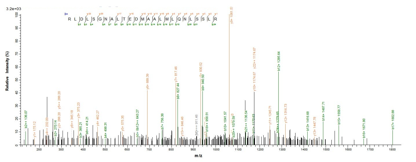 Human NRROS protein