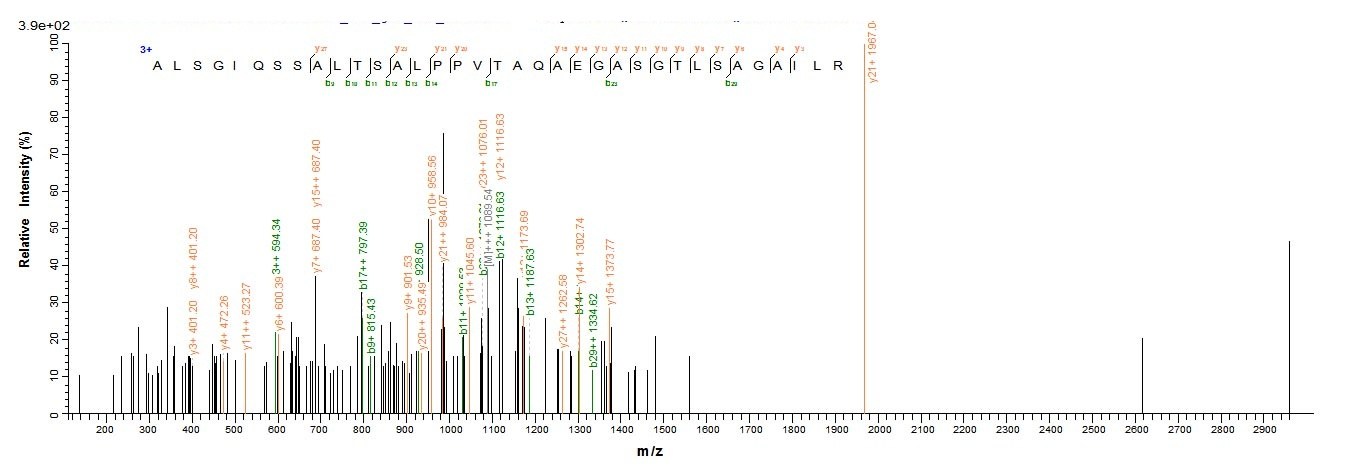 Plant hopM1 protein